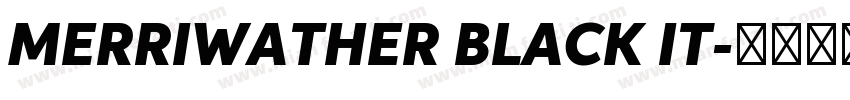 MERRIWATHER BLACK IT字体转换
